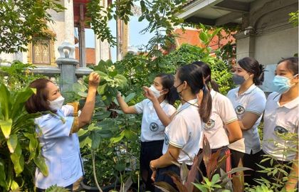 เรียนเภสัชกรรมไทย วัดทินกรนิมิต